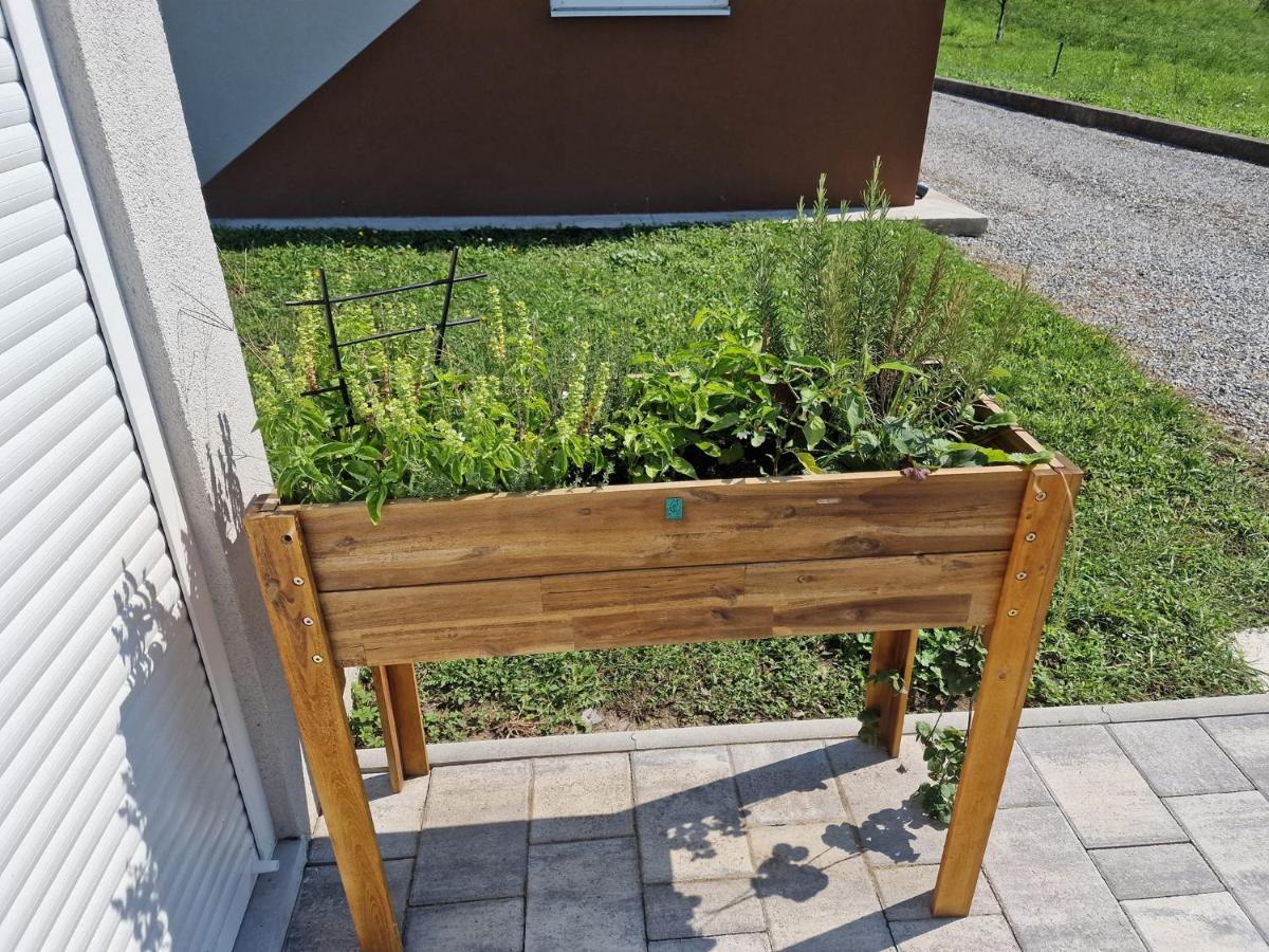 Villa Kuca Za Odmor Grasevina à Kutjevo Extérieur photo
